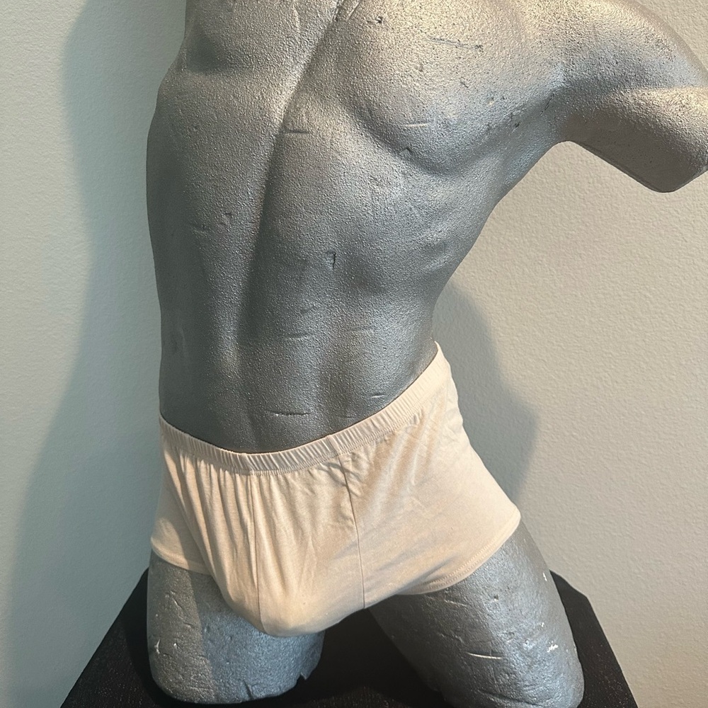 Flex Brief - Flesh or Cream J029